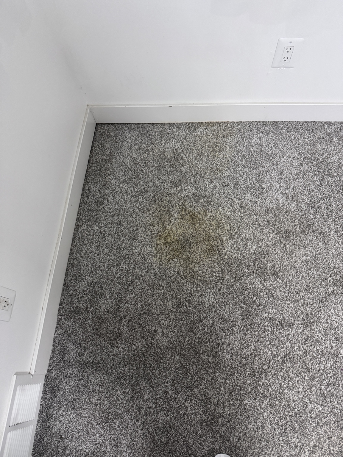 Carpet Stain Removal before