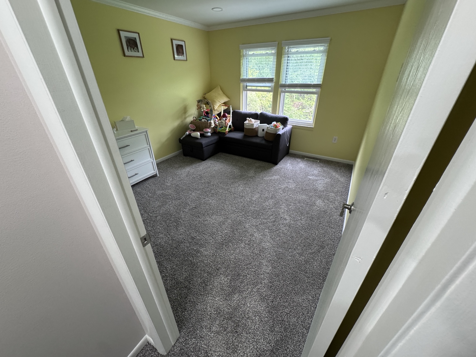 Carpet Cleaning before