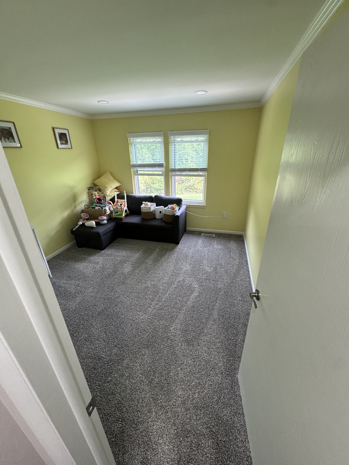 Carpet Cleaning after